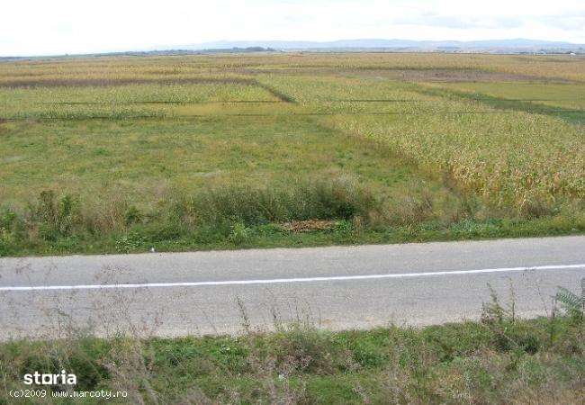 Teren Stradal Prajesti Ursoaia Langa Vasion 42 Deschidere-4