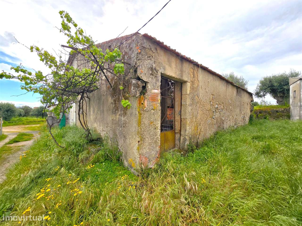 Armazém T5 Venda em Tinalhas,Castelo Branco - Grande imagem: 5/32