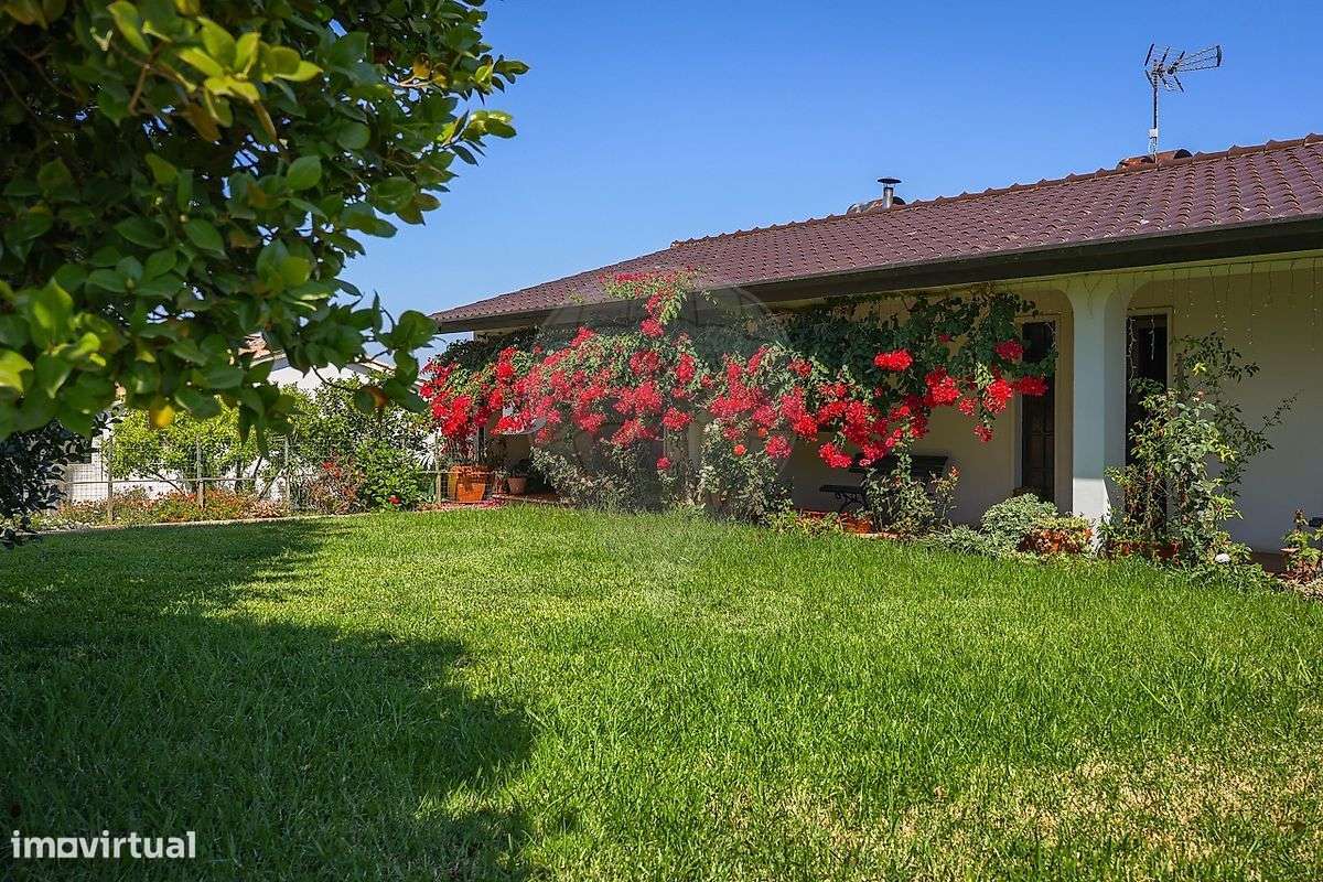 Moradia T3 | Anexo T1 | 628m2 | Lote 2140m2 | 10 min Centro Águeda - Grande imagem: 5/49