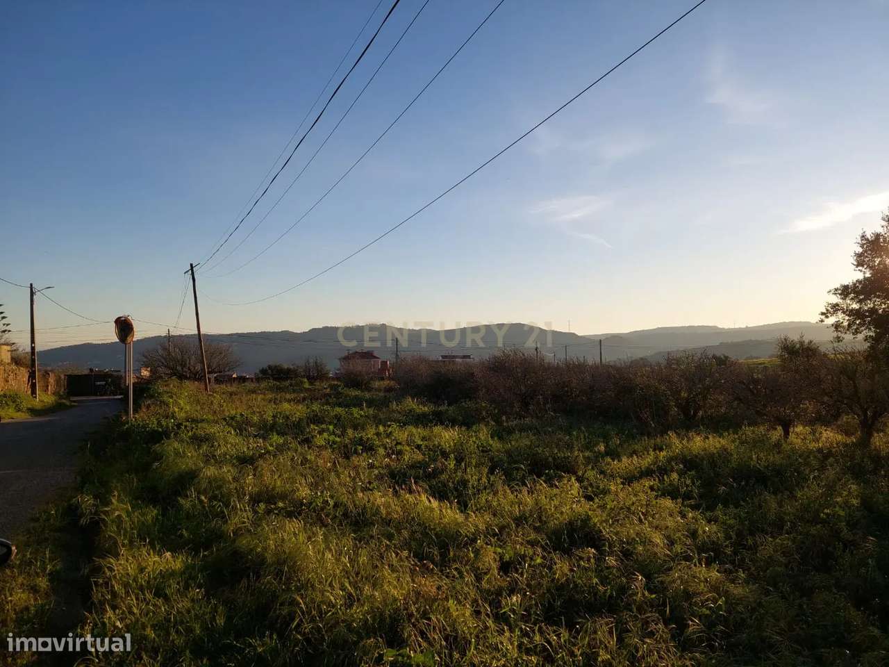 Quinta - 25 hectares-33