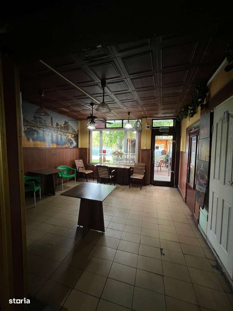 NECTORA IMOB Exclusivitate - Casa + spatiu comercial Str. Feldioarei-5