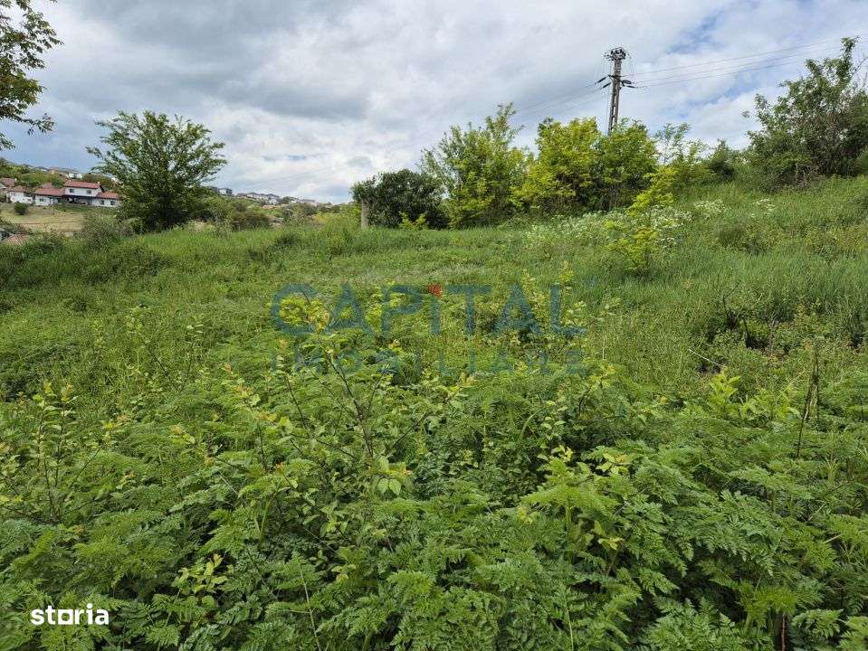 Teren intravilan, 1663 mp, central Dezmir - Imagine principală: 2/7