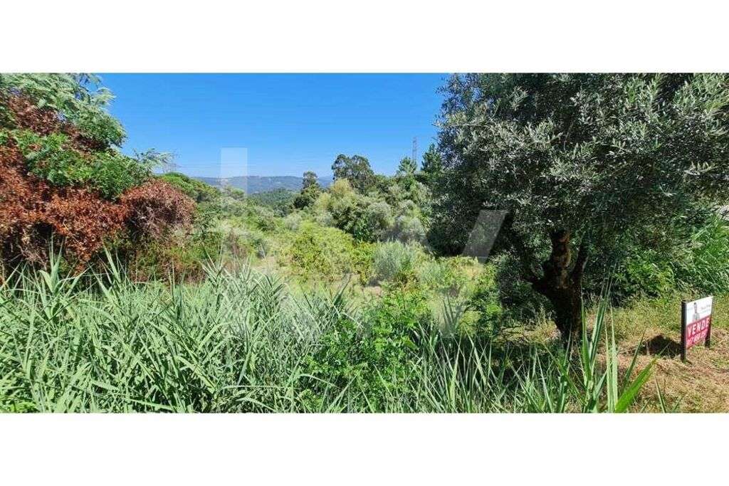 TERRENO 2100M2 | VIABILIDADE 1 / 2 MORADIAS | PRIVACIDADE | 10 MINUTOS - Grande imagem: 4/23