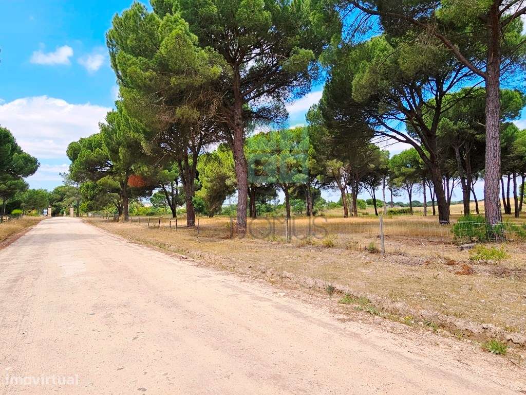 Lote de Terreno de 33.300m2, com lagoa, na Mata do Duque 1, Santo E...-20
