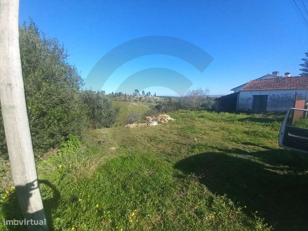 Terreno em Brogueira - Grande imagem: 5/6