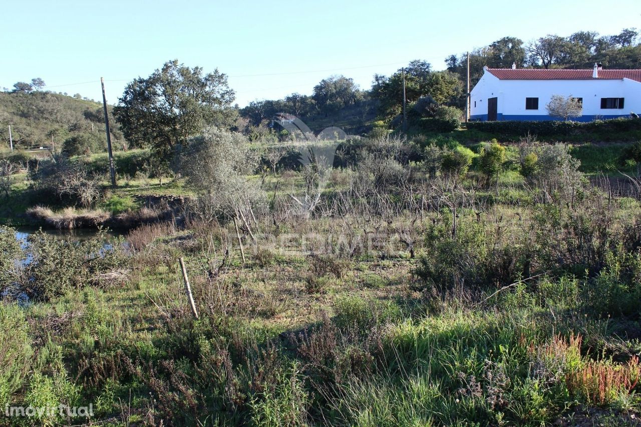 Vende-se Terreno Rústico em São Bartolomeu de Messines