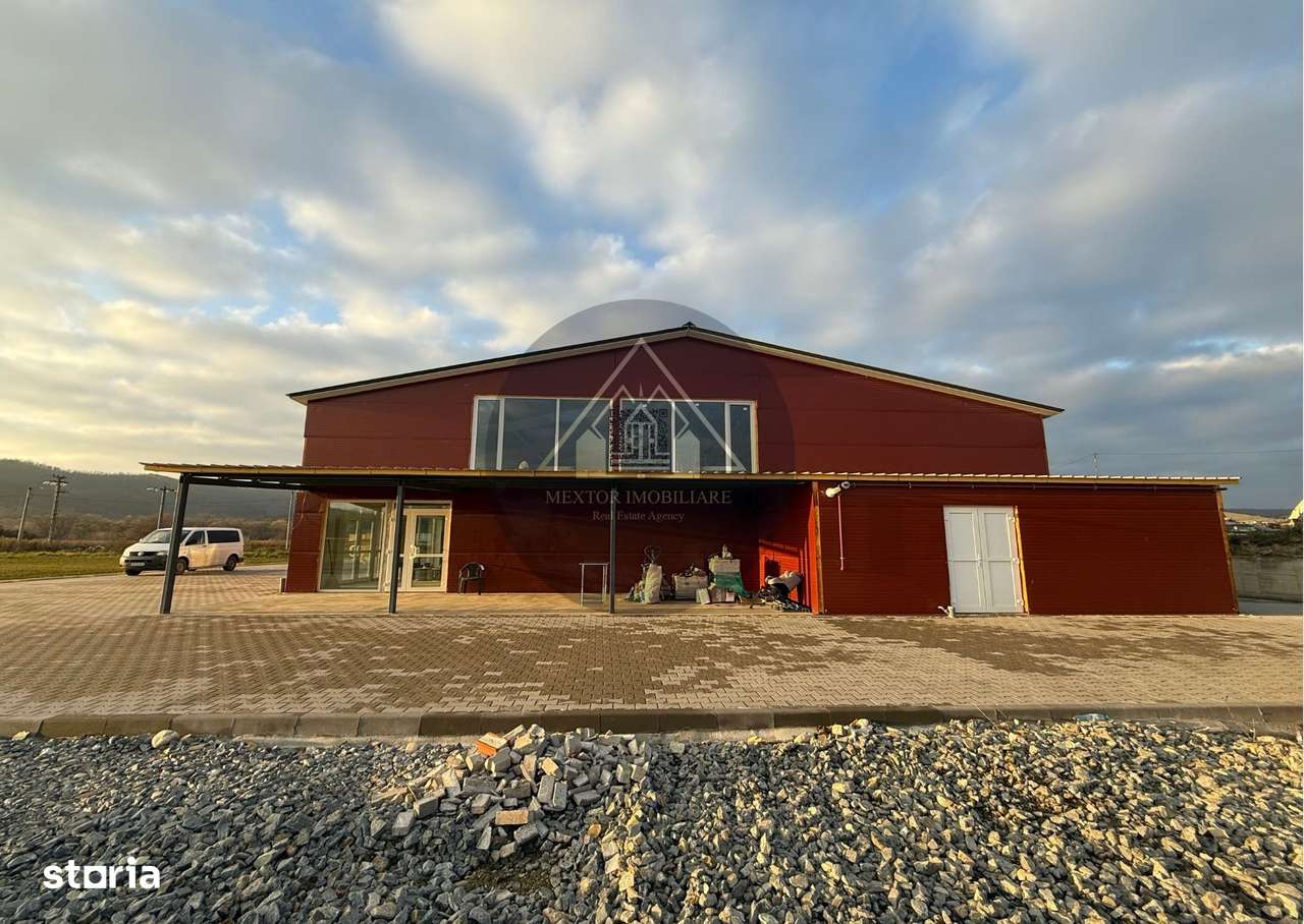 Hală de inchiriat, Medias - Imagine principală: 2/15