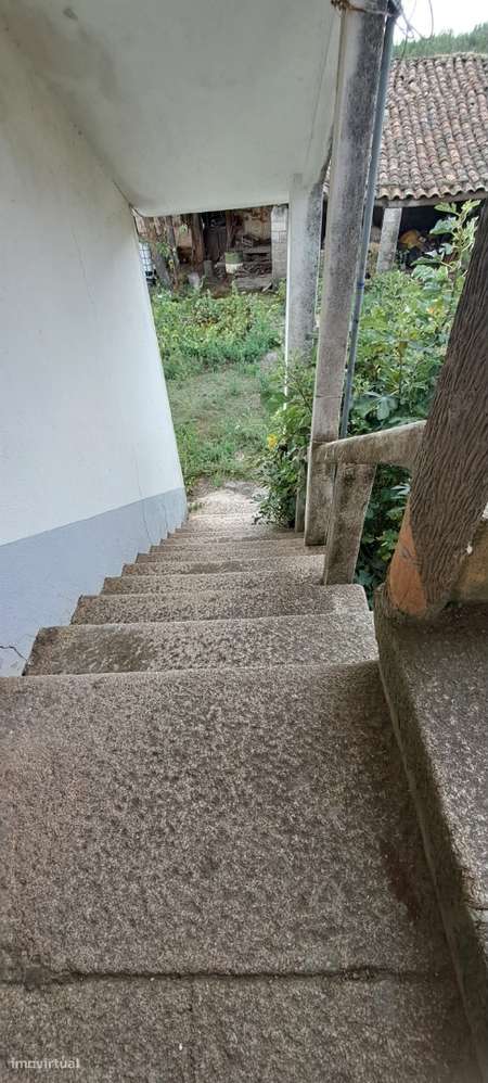 Quinta em Travanca, Mogadouro-26