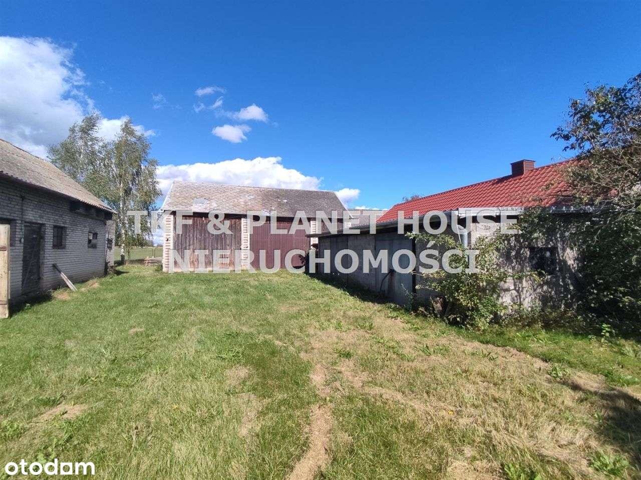 Dom z działka 1,4 ha na sprzedaż w Jelni/Drzewica - Pełny obrazek: 4/17