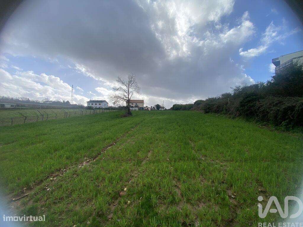 Terreno em Monção e Troviscoso-0