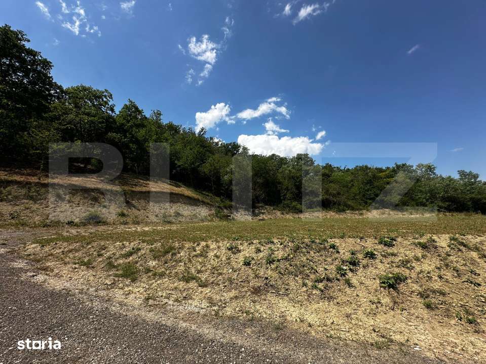Parcele de 500,700,1000 mp in Aiud , autorizatie de constructie. - Imagine principală: 2/9