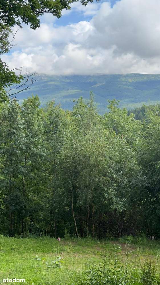 Działka budowlana z widokiem na góry | 1631 m² | PUM 700–800 m² - Pełny obrazek: 2/4