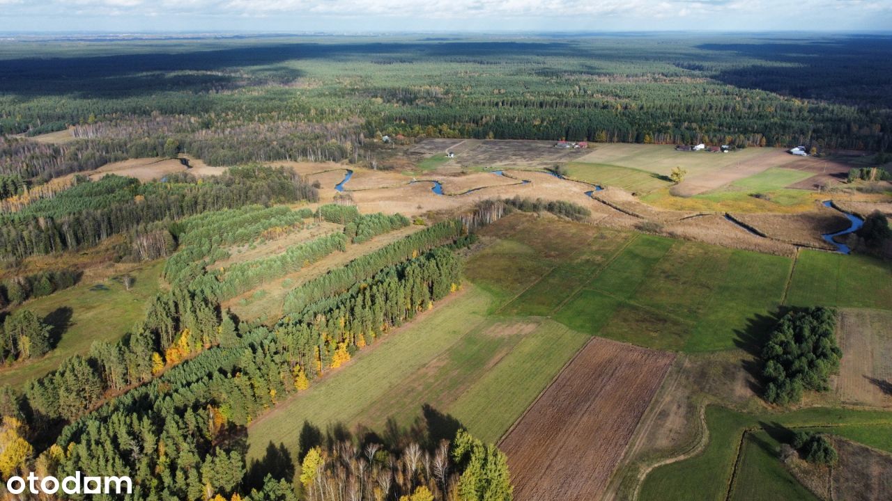 Strzelcowizna - 9,25 ha przy Czarnej Hańczy