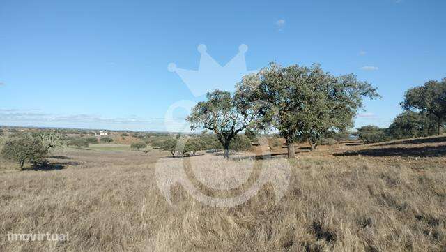 Terreno 6,2 ha - Grande imagem: 4/15