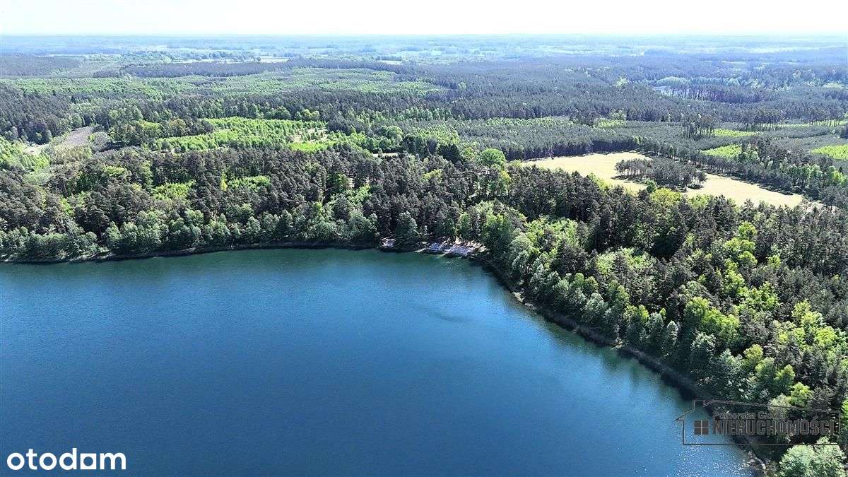 Okole - Grunt siedliskowy w otoczeniu lasu ok. 100-18