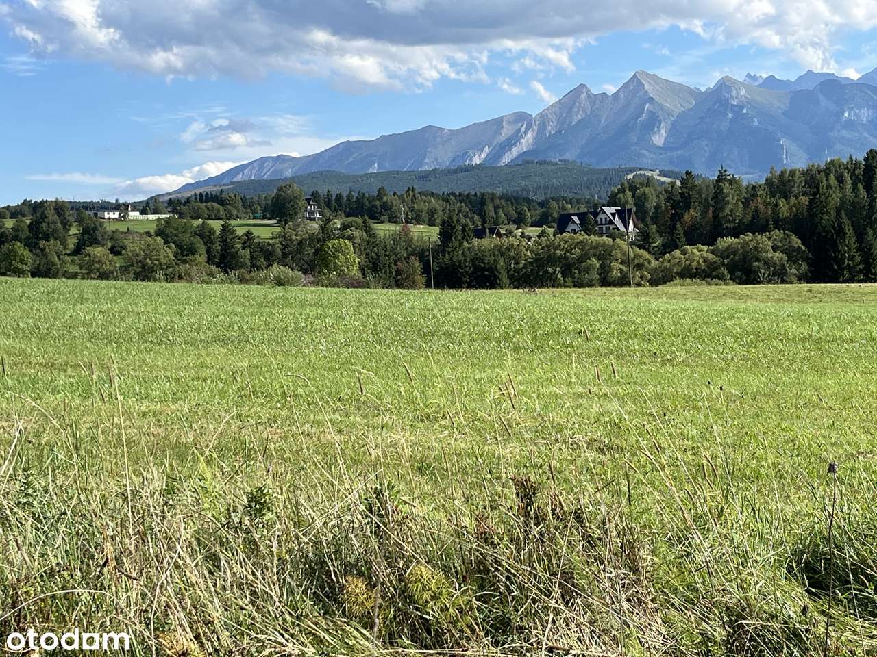 Na sprzedaż działka 20 arów z cudownym widokiem na Tatry | Czarna Góra - Pełny obrazek: 5/8