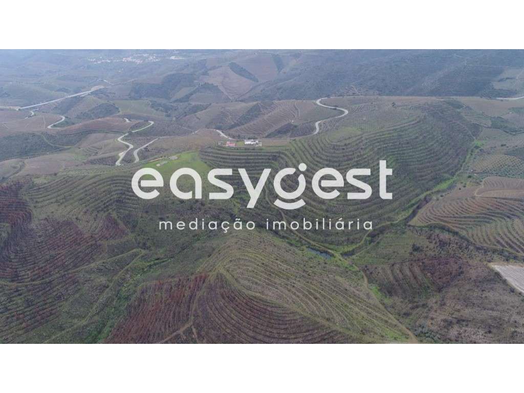 Terreno Rústico - Guarda - Grande imagem: 4/6