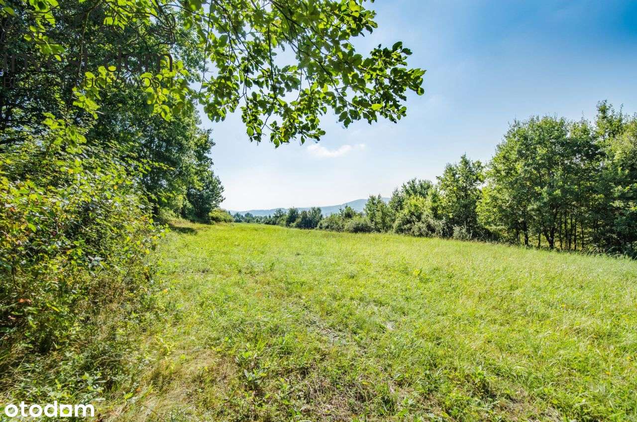 ..wymarzona działka w Ropicy Polskiej !!!-6