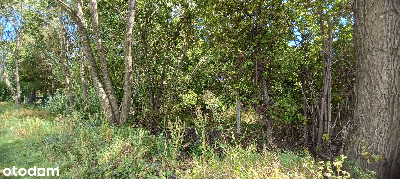 Bratoszów, działka budowlana,  9 arów - Pełny obrazek: 4/5