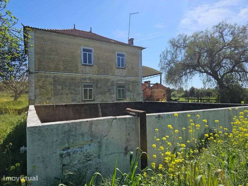 Quintinha da Ilha, Torres Novas, Junto ao Rio Almonda - Grande imagem: 5/12