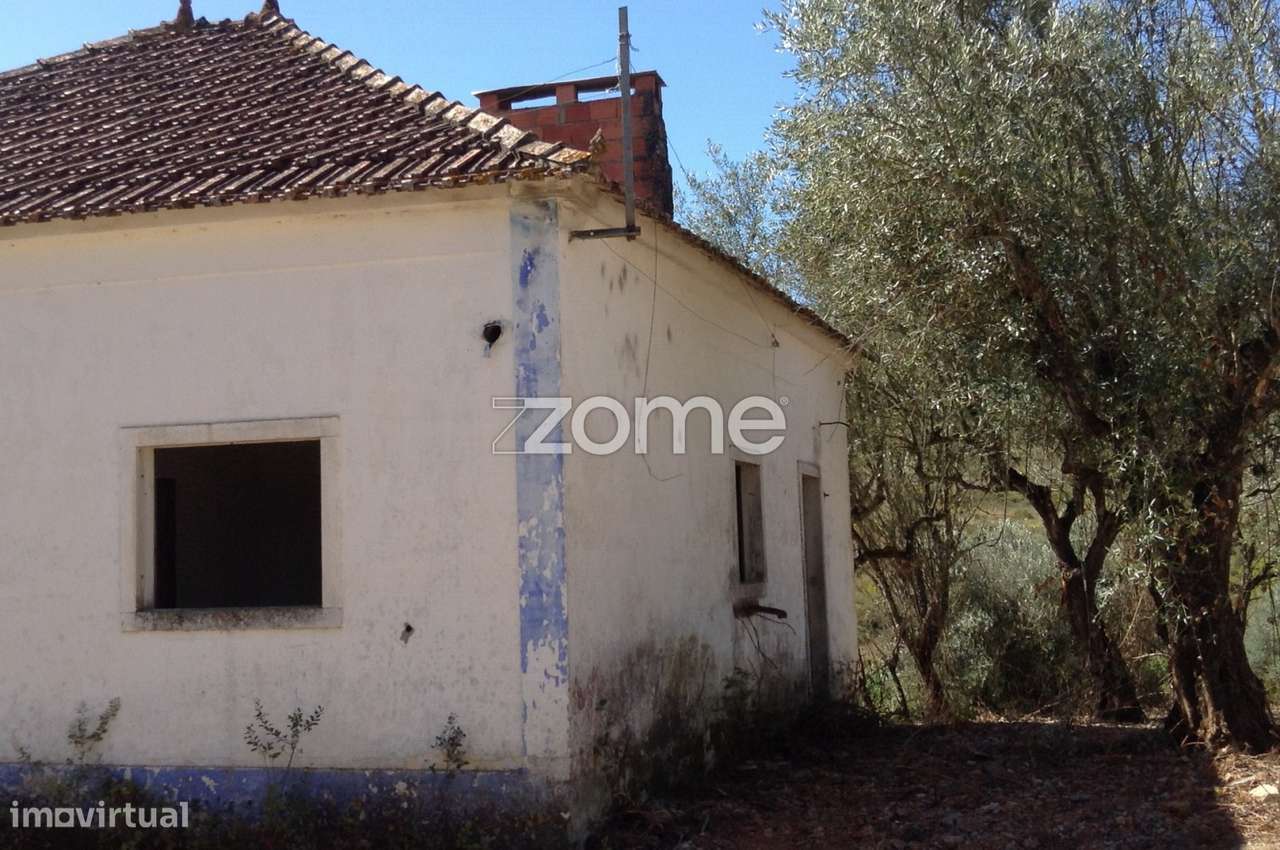 Quinta 19 hectares Rio Maior, Santarém - Grande imagem: 5/31