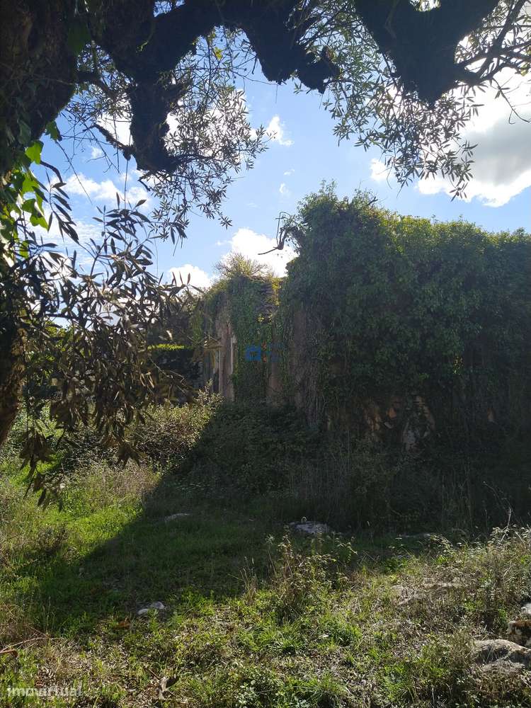 Terreno  em Fátima no lugar de Boleiros-8