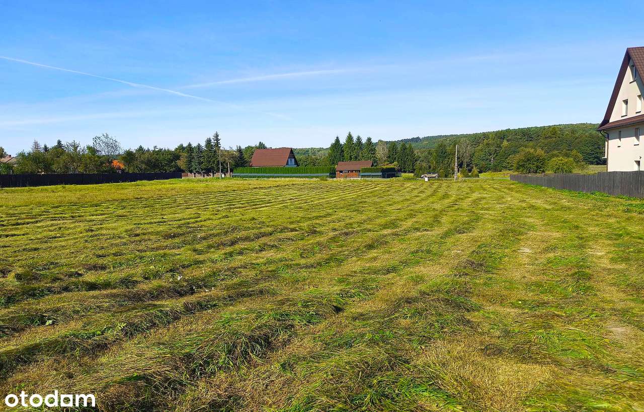 Działki na Roztoczu - Bondyrz-13