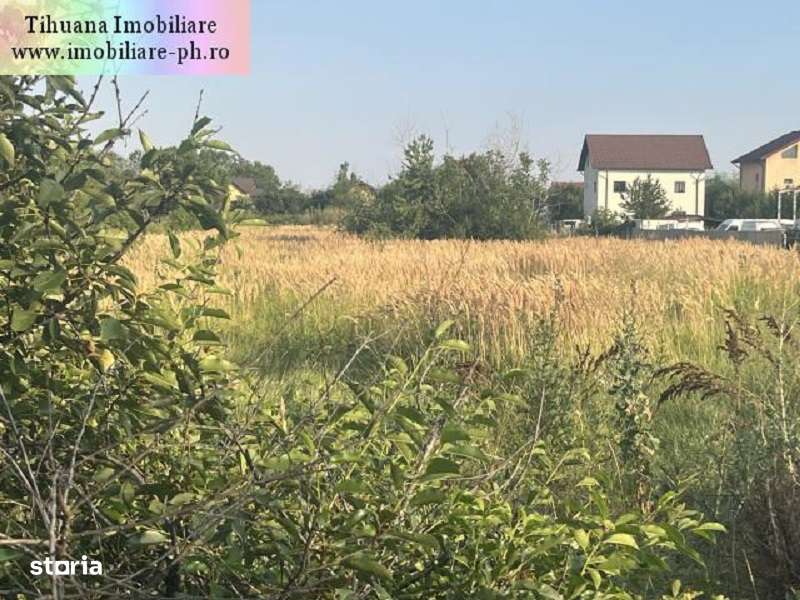 Teren de vanzare - Blejoi-(sat Ploiestiori)-0