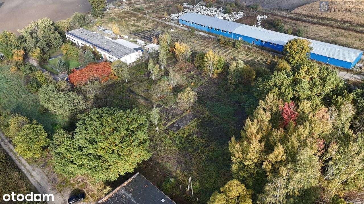 Teren przemysłowy | 2 hale | dobry dojazd - Pełny obrazek: 5/16