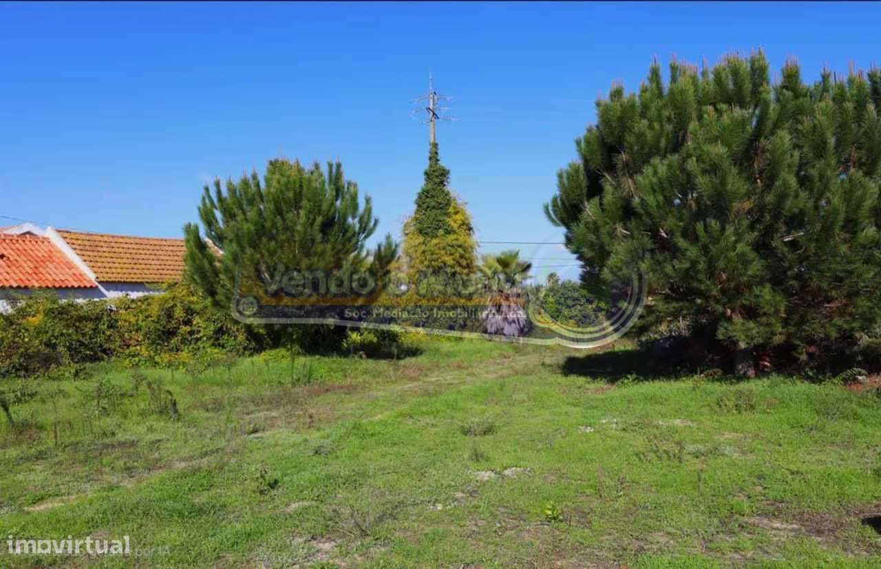 Terreno em Foros de Salvaterra (F812) - Grande imagem: 4/4