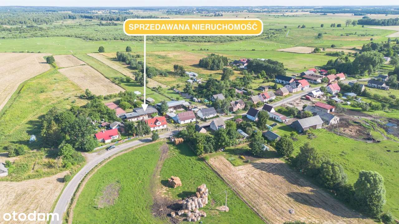 House in Mosina - View 3
