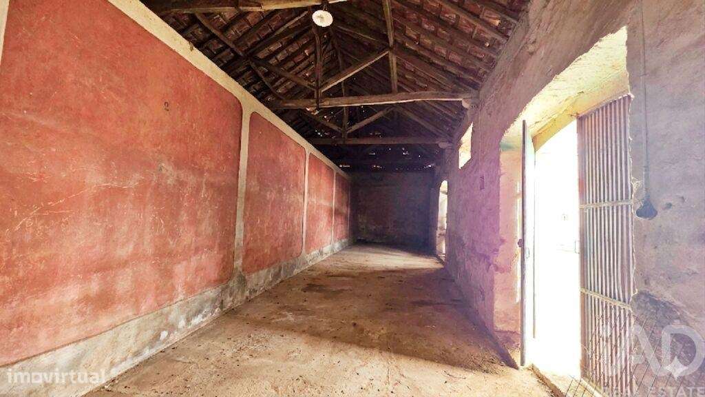 Loja / Estabelecimento Comercial em Cadaval e Pêro Moniz de 200,00 m2 - Grande imagem: 5/8