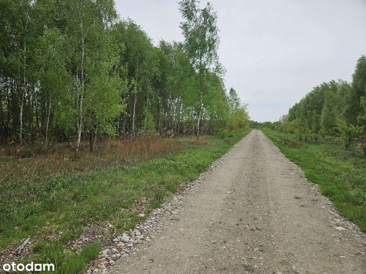 Działki budowlane w spokojnej okolicy, 10min do S2 - Pełny obrazek: 4/20
