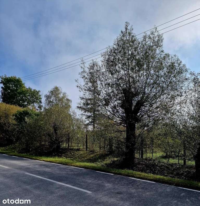 Działka usługowa 5100 m² – Doskonała lokalizacja-1