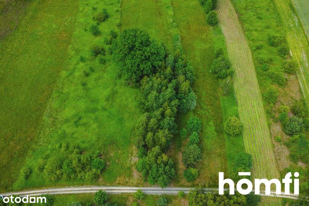 Działka rolno rekreacyjna - Krzątka! - Pełny obrazek: 4/15