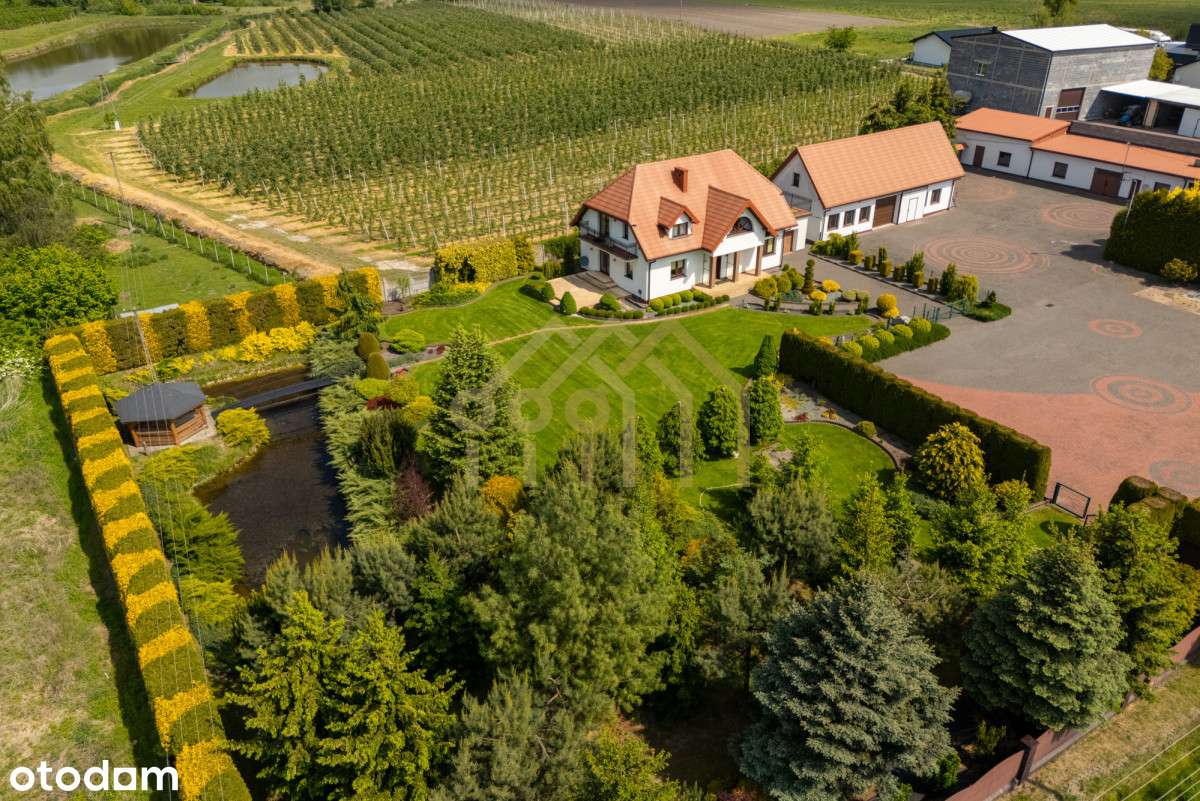 Willa marzeń w otoczeniu zieleni - Pełny obrazek: 4/20