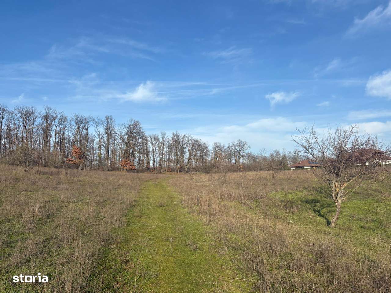 Teren 10.009 mp cu deschidere 70 m — vedere la lac și pădure - Imagine principală: 4/6