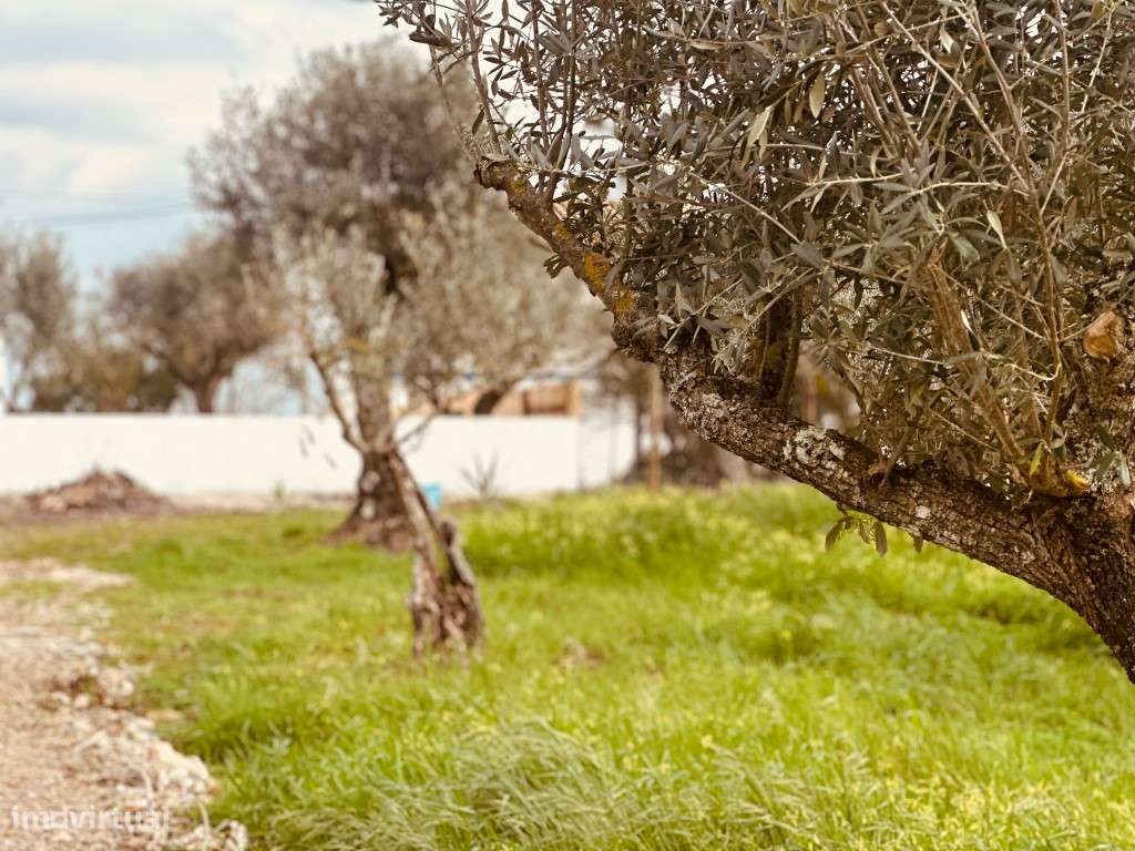 Moradia T2, inserida em lote com 1125 m2 com piscina, em Santiago M...-30