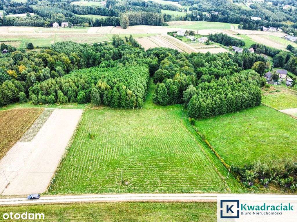 Huta Gogołowska – działki z widokiem, Wz, mediami.-10