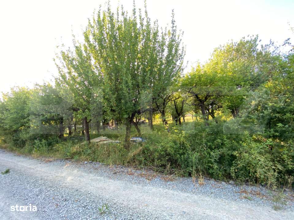 TEREN INTRAVILAN de VANZARE –Valea Rusului, priveliste panoramica sp - Imagine principală: 4/4