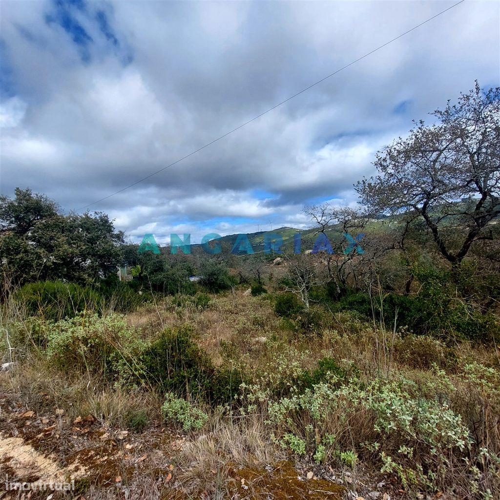 ANG1223 - Terreno para Venda em Alqueidão da Serra, Porto de Mós - Grande imagem: 1/5