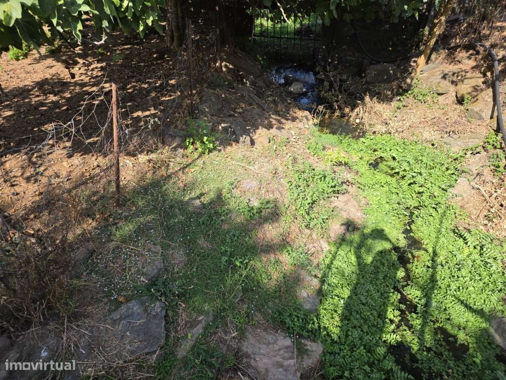 Moradia T3 em Vila Viçosa, com garagem, inserida em lote de 3500 m2-5