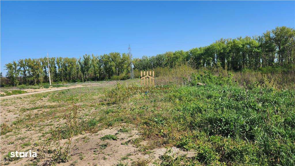 Teren 18 hectare - Scheia - Apa Sucevei! - Imagine principală: 4/7