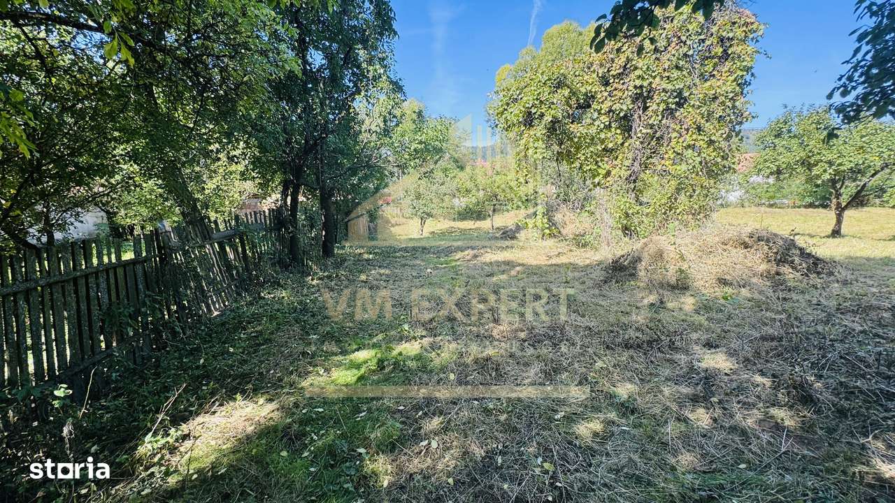 TEREN INTRAVILAN 3234 MP LEREȘTI VOINEȘTI ARGEȘ-12