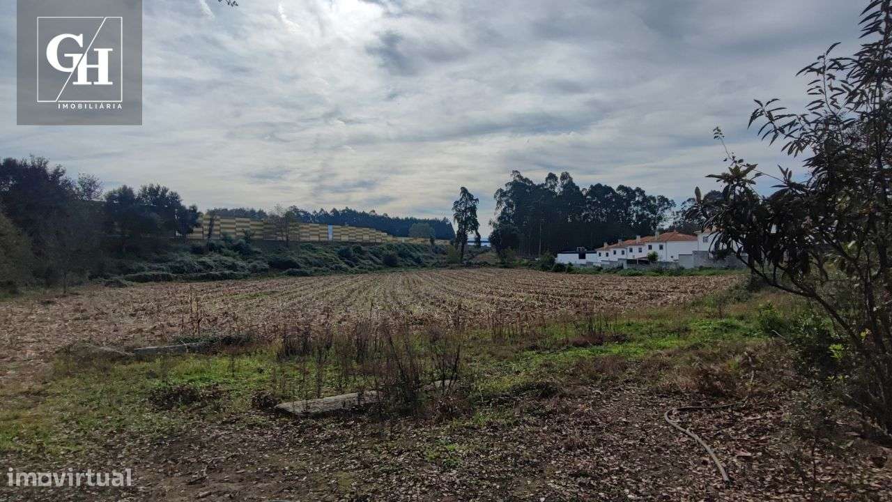 Terreno em Antas – 20.306 m² | Localização Estratégica!-8