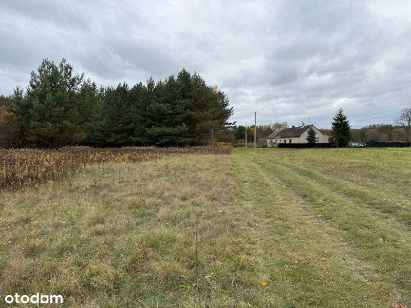 Duża atrakcyjna działka z warunkami zabudowy w atrakcyjnej cenie! - Pełny obrazek: 5/8