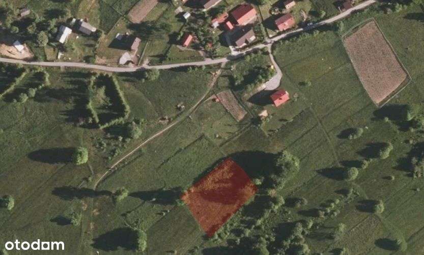 Rajcza, obręb Sól-Kichora, piękne widoki - Pełny obrazek: 4/5