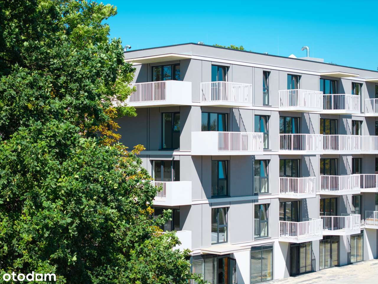 LOKAL USŁUGOWY, WITRYNA OD STRONY ULICY, 45M2, SOSNOWIEC-ZAGÓRZE-4
