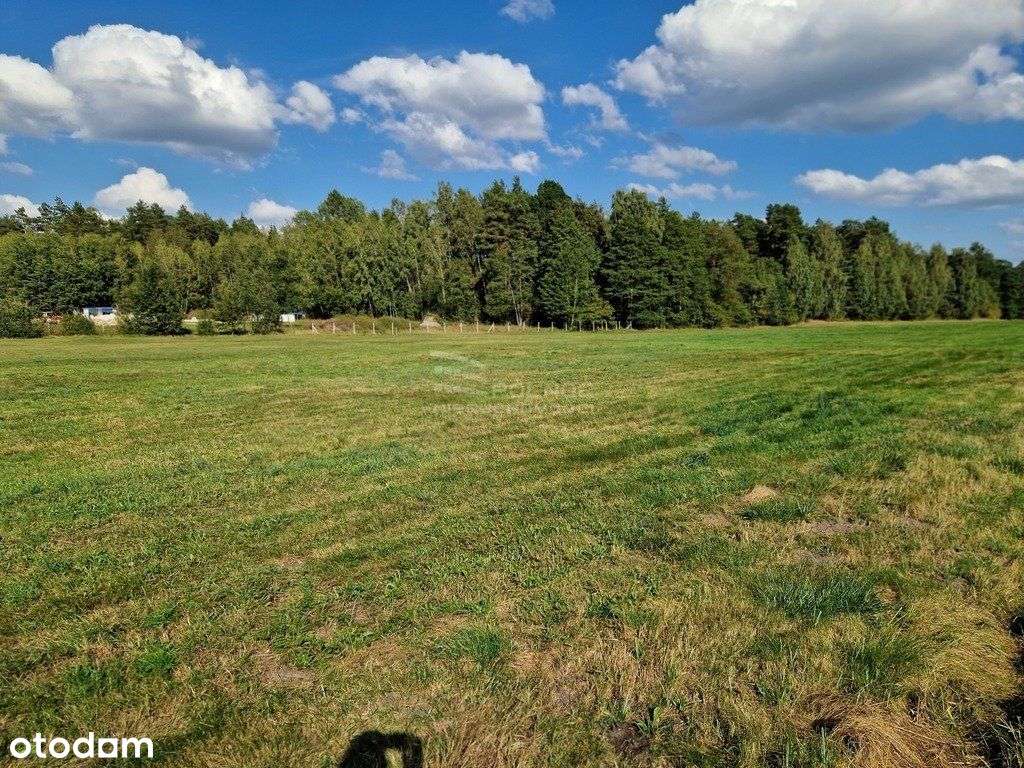 Rolna działka 0,8 ha Krynickie gm. Zabłudów - Pełny obrazek: 2/18