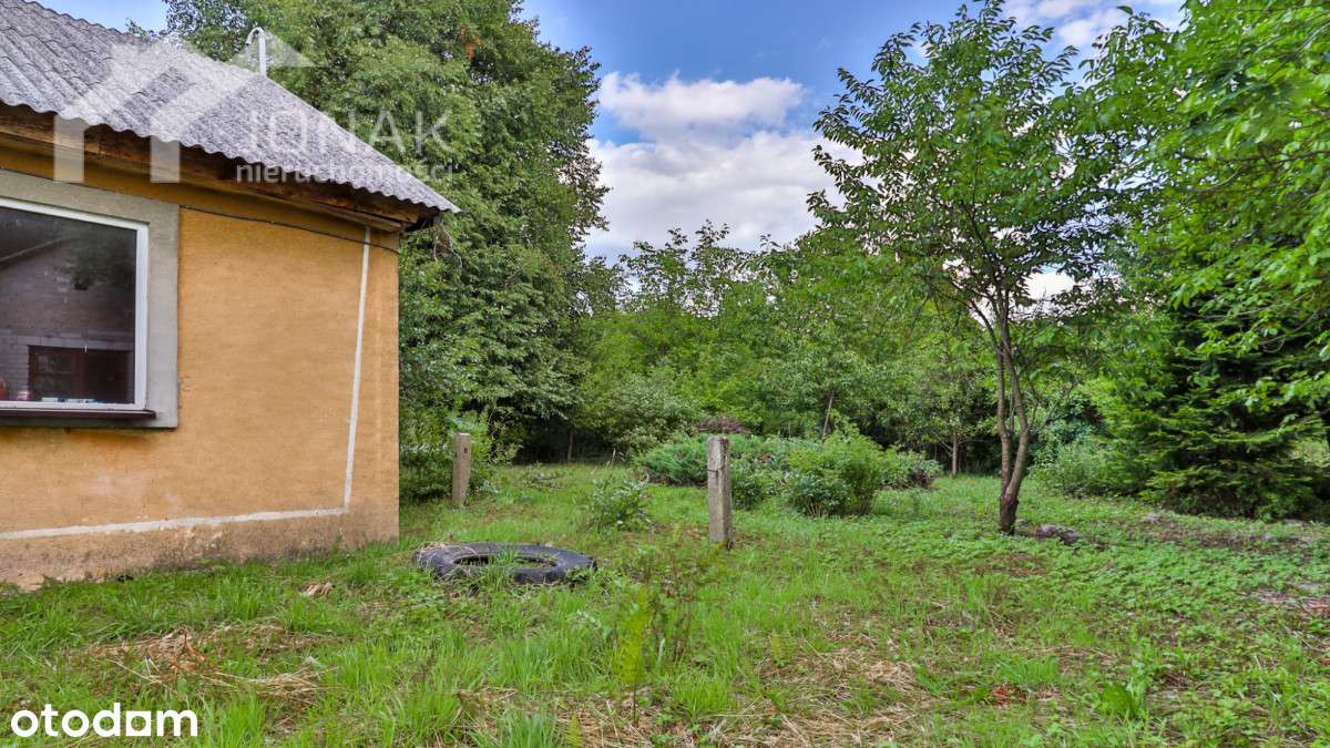 Siedlisko blisko lasu i zalewu - Pełny obrazek: 5/16